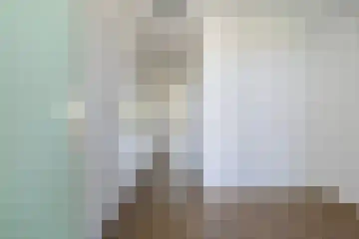 van Wyckelstrjitte 22 Stiens thumbnail 11