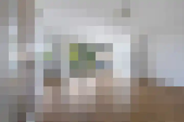 van Wyckelstrjitte 22 Stiens thumbnail 13