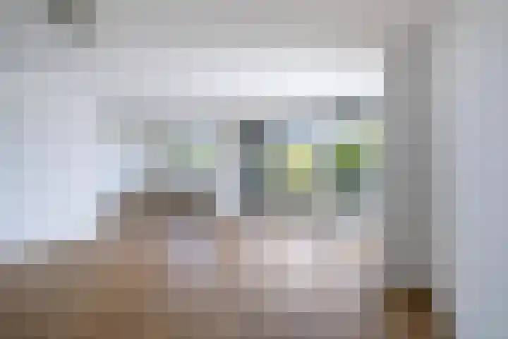 van Wyckelstrjitte 22 Stiens thumbnail 14