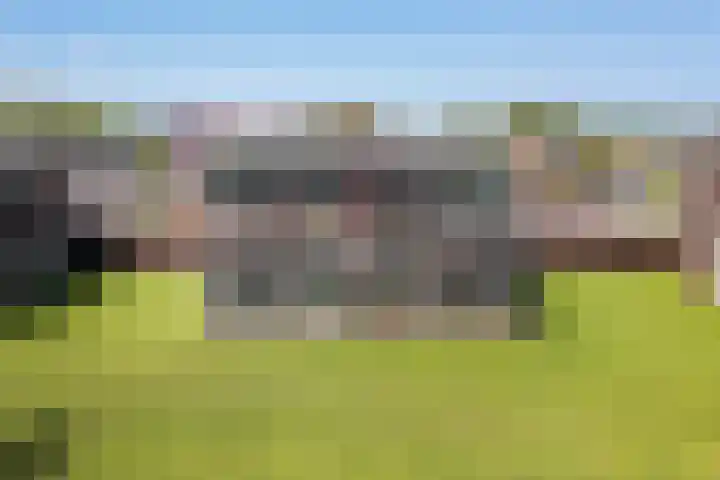 van Wyckelstrjitte 22 Stiens foto 2