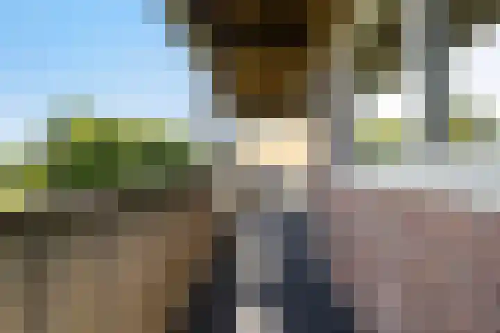 van Wyckelstrjitte 22 Stiens thumbnail 29