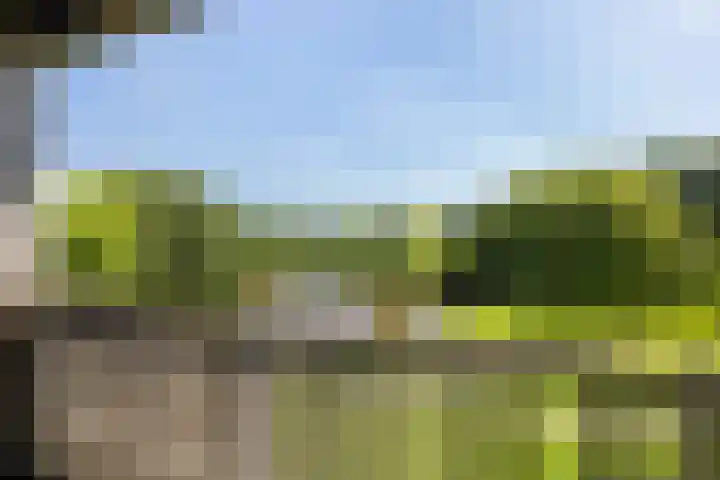 van Wyckelstrjitte 22 Stiens thumbnail 30