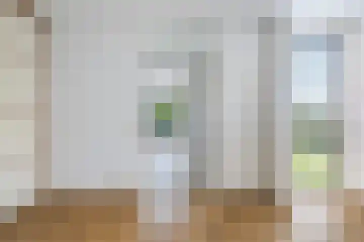 van Wyckelstrjitte 22 Stiens thumbnail 34