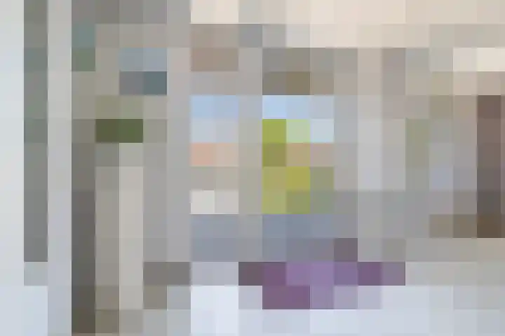 van Wyckelstrjitte 22 Stiens thumbnail 4