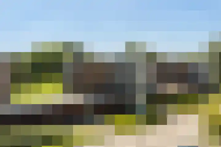 van Wyckelstrjitte 22 Stiens thumbnail 48