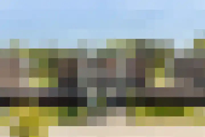 van Wyckelstrjitte 22 Stiens thumbnail 49