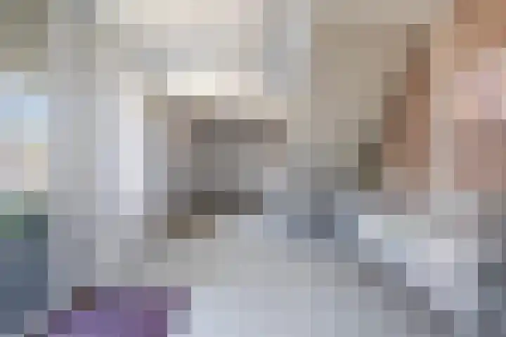 van Wyckelstrjitte 22 Stiens thumbnail 5