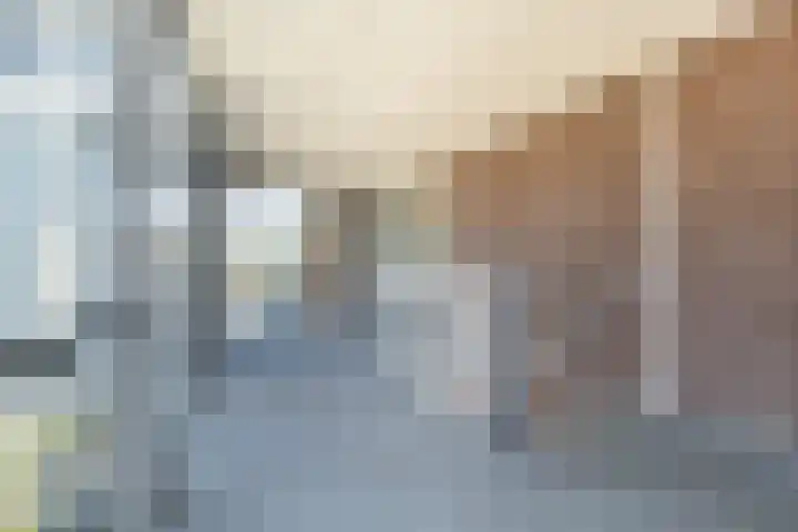 van Wyckelstrjitte 22 Stiens thumbnail 7