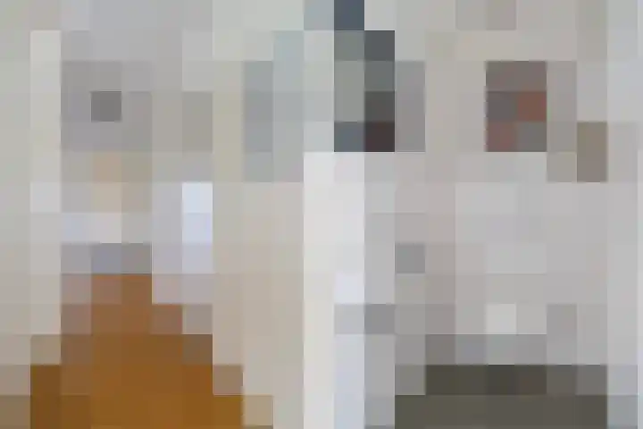 van Wyckelstrjitte 26 Stiens thumbnail 12