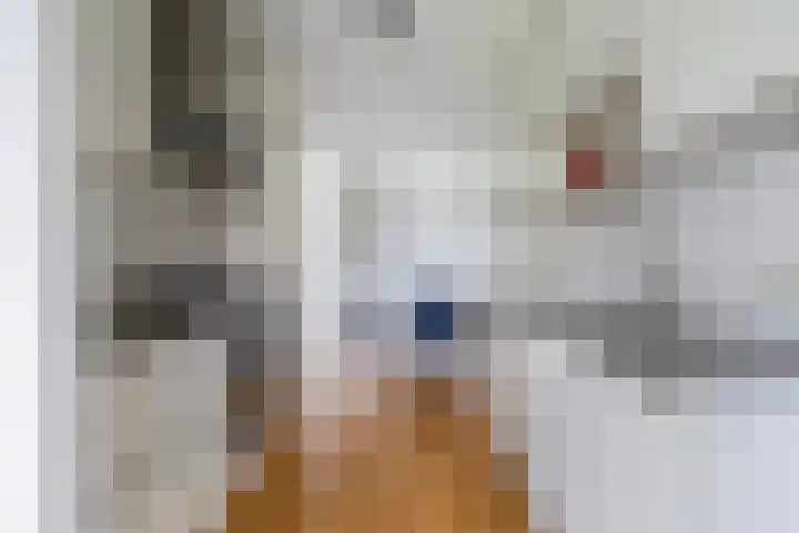 van Wyckelstrjitte 26 Stiens thumbnail 18