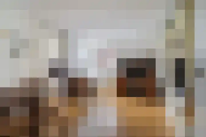 van Wyckelstrjitte 26 Stiens thumbnail 20