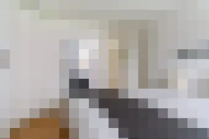 van Wyckelstrjitte 26 Stiens thumbnail 21