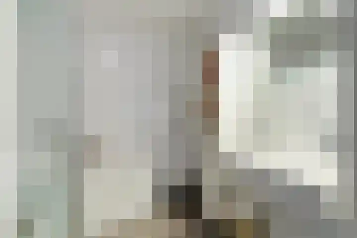 van Wyckelstrjitte 26 Stiens thumbnail 22