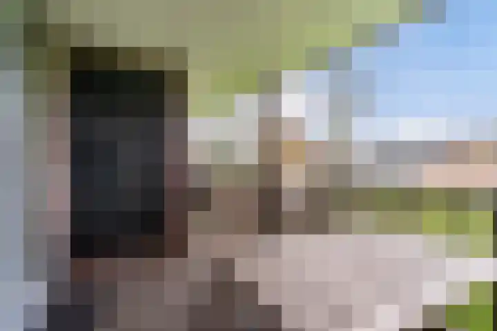 van Wyckelstrjitte 26 Stiens thumbnail 25