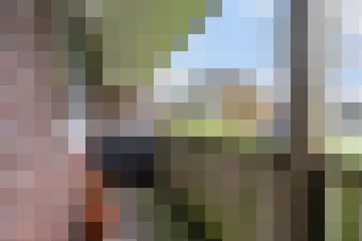van Wyckelstrjitte 26 Stiens thumbnail 26