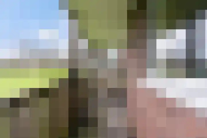van Wyckelstrjitte 26 Stiens thumbnail 27