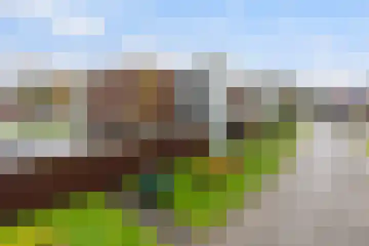 van Wyckelstrjitte 26 Stiens thumbnail 31