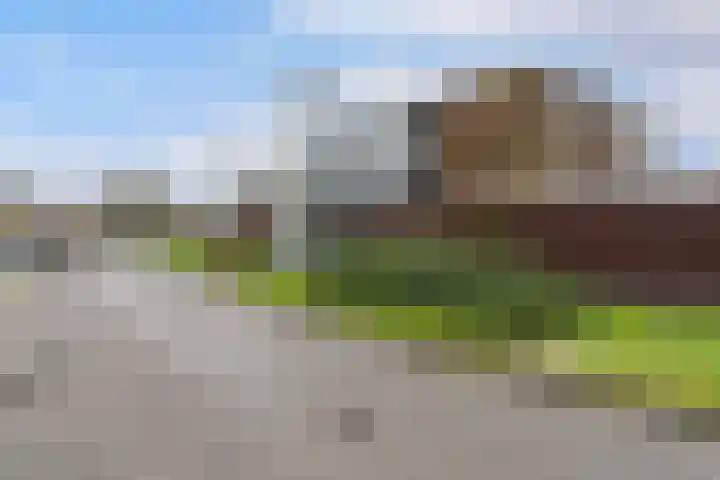 van Wyckelstrjitte 26 Stiens thumbnail 32