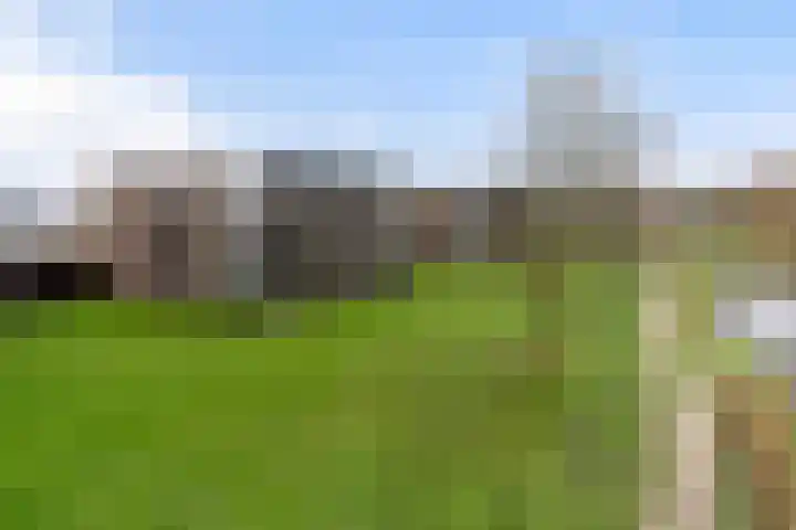 van Wyckelstrjitte 26 Stiens thumbnail 33