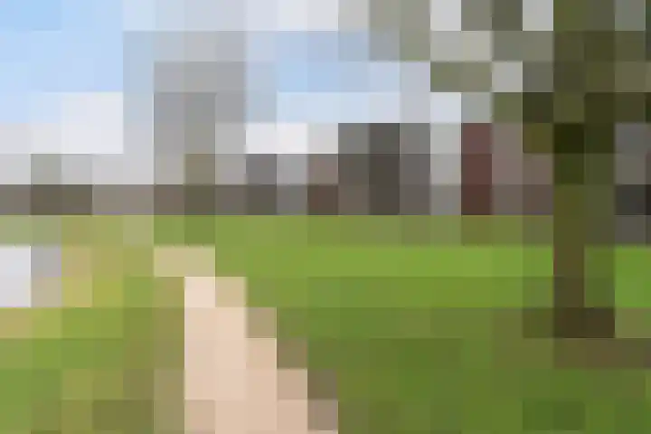 van Wyckelstrjitte 26 Stiens thumbnail 35
