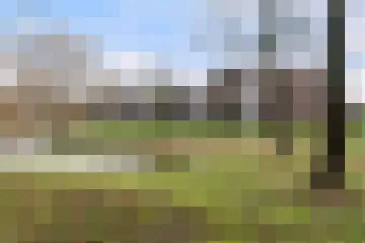 van Wyckelstrjitte 26 Stiens thumbnail 36