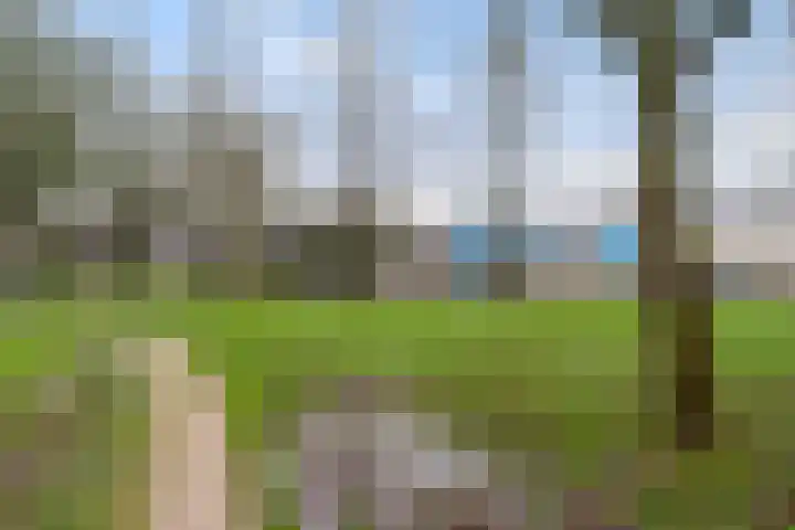 van Wyckelstrjitte 26 Stiens thumbnail 37