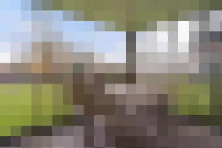 van Wyckelstrjitte 26 Stiens thumbnail 4