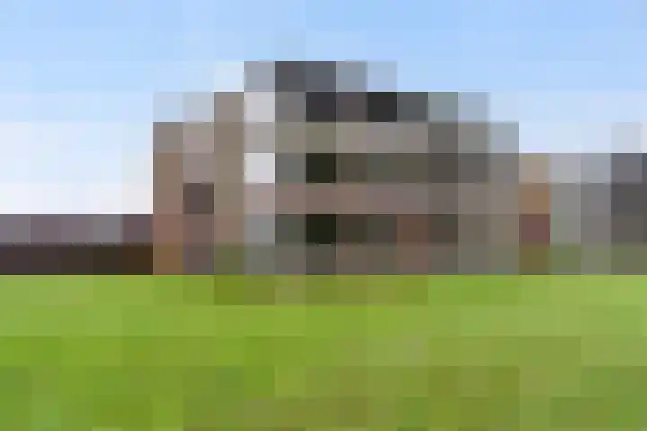 van Wyckelstrjitte 26 Stiens thumbnail 5