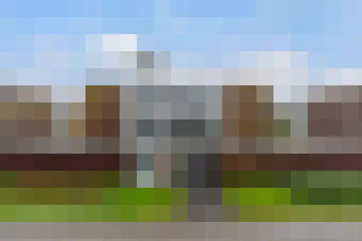 van Wyckelstrjitte 26 Stiens thumbnail 6