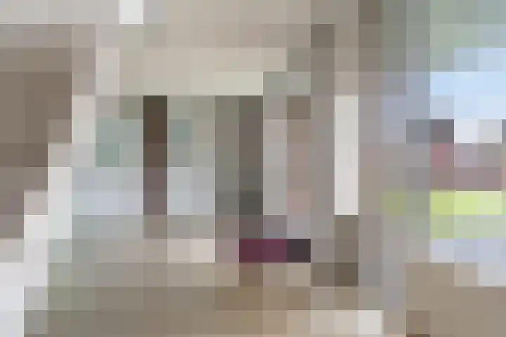 van Wyckelstrjitte 26 Stiens thumbnail 7