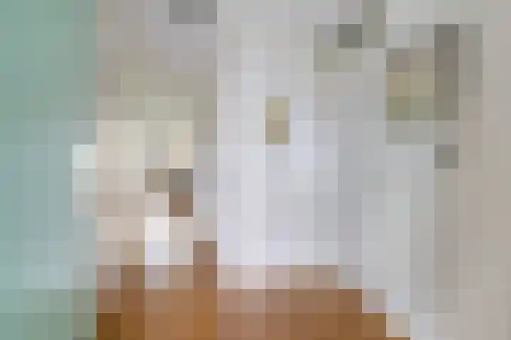 van Wyckelstrjitte 26 Stiens thumbnail 9
