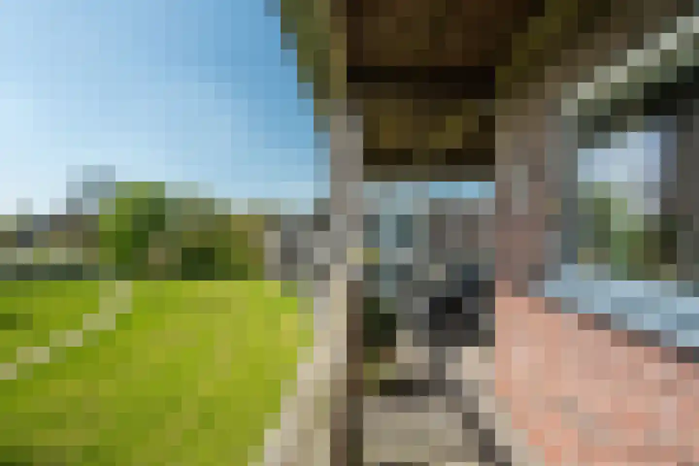 van Wyckelstrjitte 34 Stiens thumbnail 17