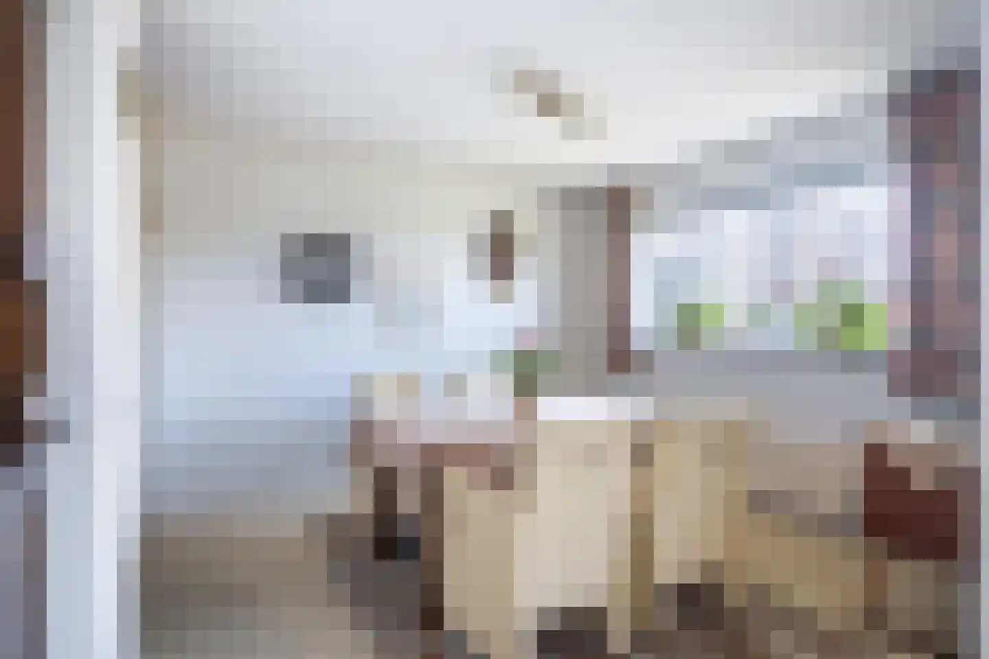 van Wyckelstrjitte 34 Stiens thumbnail 7