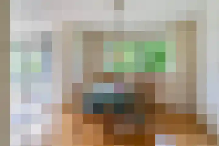 van Wyckelstrjitte 44 Stiens thumbnail 14