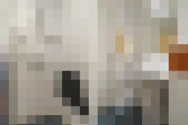 van Wyckelstrjitte 44 Stiens thumbnail 20