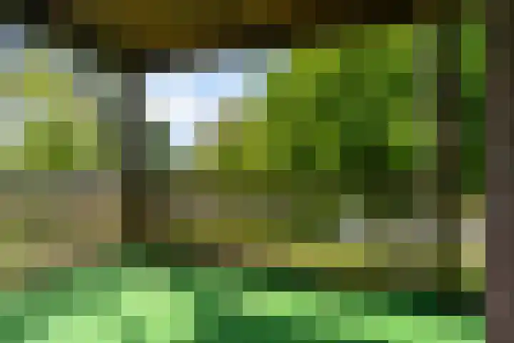 van Wyckelstrjitte 44 Stiens thumbnail 23