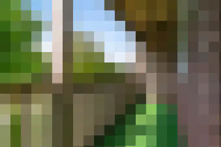 van Wyckelstrjitte 44 Stiens thumbnail 24