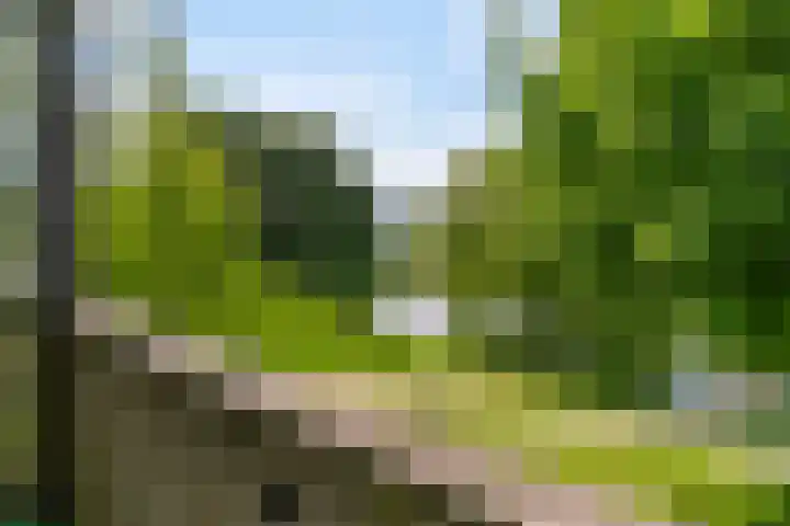 van Wyckelstrjitte 44 Stiens thumbnail 25