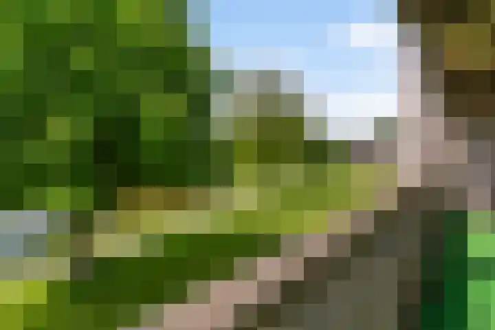 van Wyckelstrjitte 44 Stiens thumbnail 26