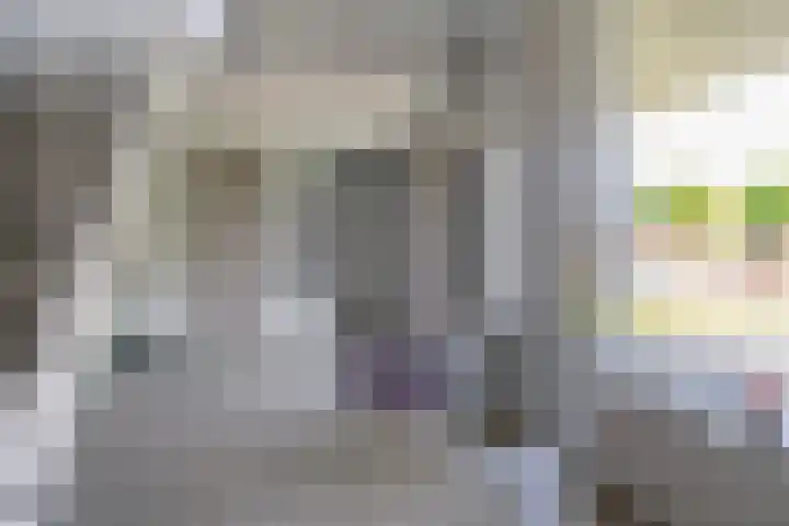 van Wyckelstrjitte 44 Stiens thumbnail 27