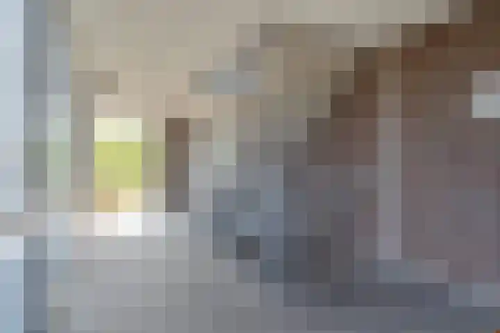 van Wyckelstrjitte 44 Stiens thumbnail 28