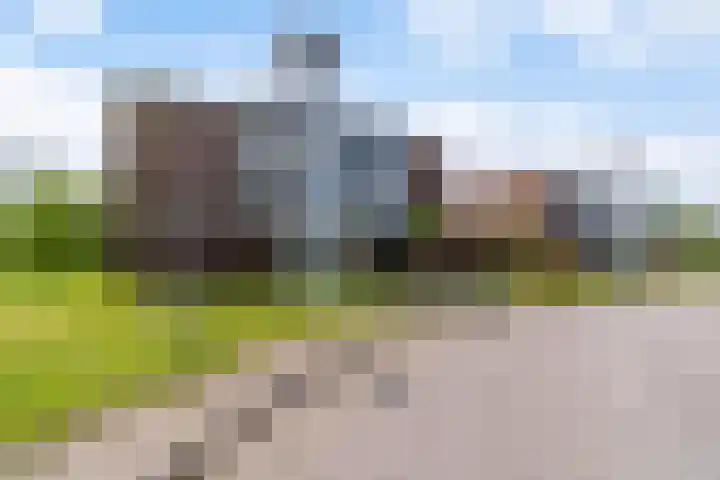 van Wyckelstrjitte 44 Stiens thumbnail 32
