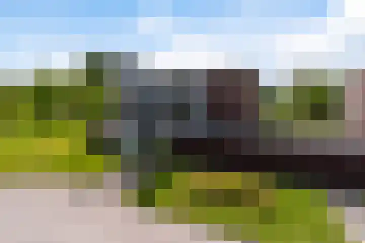 van Wyckelstrjitte 44 Stiens thumbnail 34