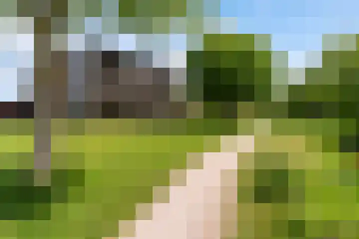 van Wyckelstrjitte 44 Stiens thumbnail 35