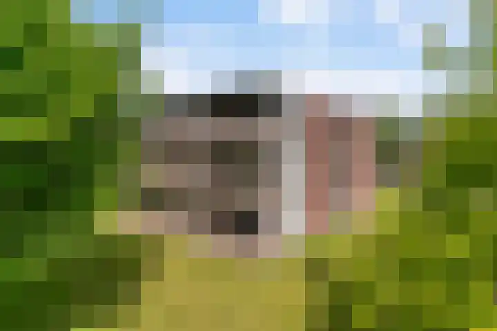 van Wyckelstrjitte 44 Stiens thumbnail 36