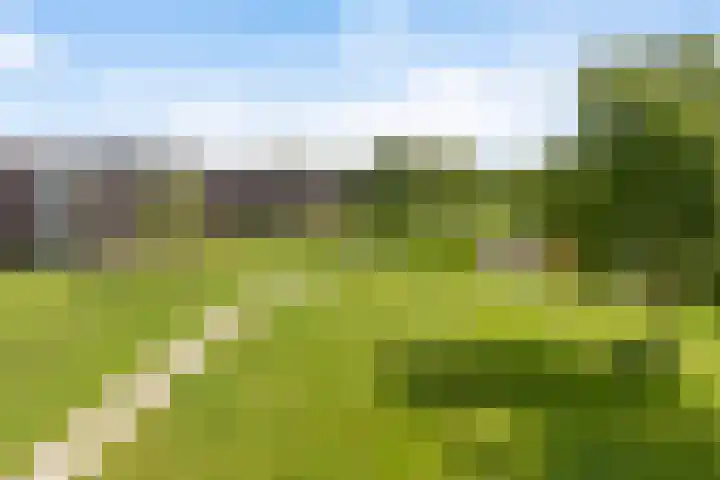 van Wyckelstrjitte 44 Stiens thumbnail 37