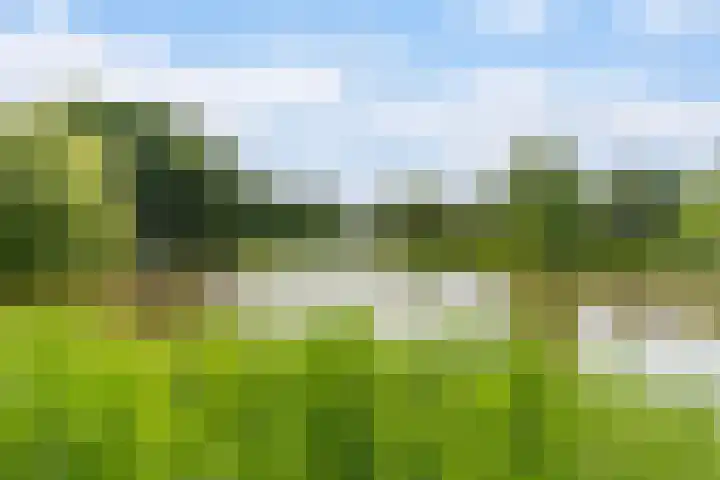 van Wyckelstrjitte 44 Stiens thumbnail 38