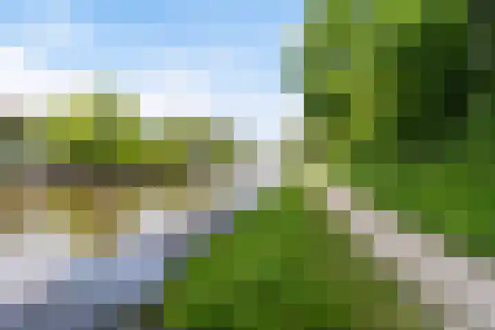 van Wyckelstrjitte 44 Stiens thumbnail 39