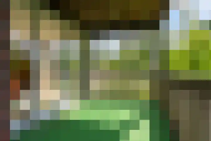 van Wyckelstrjitte 44 Stiens thumbnail 4