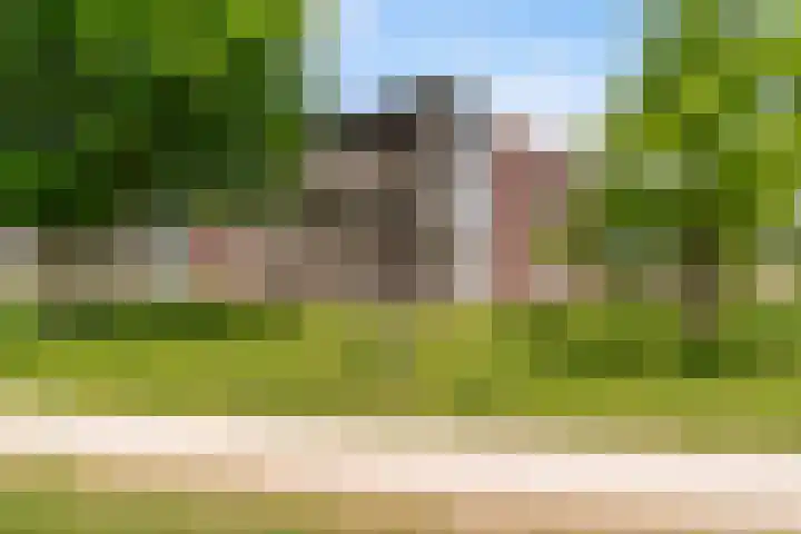 van Wyckelstrjitte 44 Stiens thumbnail 40